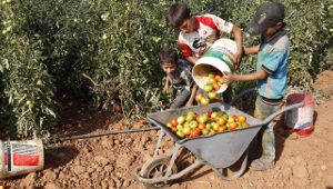 Farming’s effects on global warming